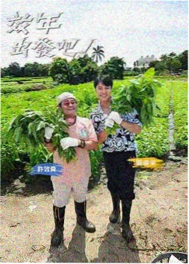 幕后花絮辑录条目封面
